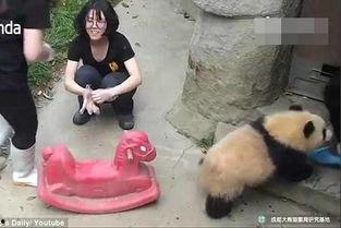 骑木马视频,一场奇幻的视觉盛宴