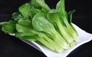 青菜名字大全图片,名字大全图片中的绿色宝藏