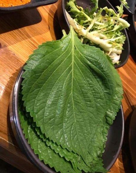 韩国苏子叶,传统美食中的绿色瑰宝