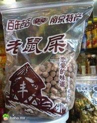 老鼠屎图片,揭开其背后的故事与真相