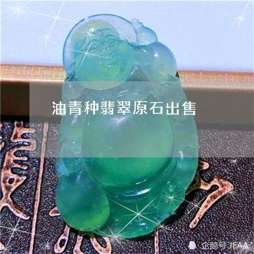 翡翠油青种图片,自然之美与东方韵味的完美融合