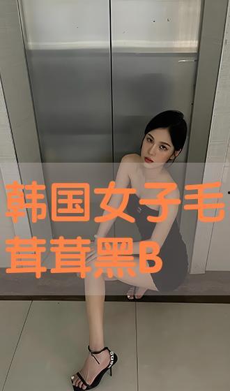 韩国b,崛起中的科技与创新力量