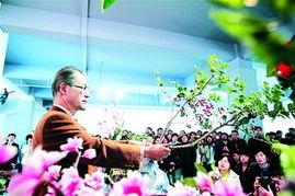 周市民日本,日本文化探索之旅