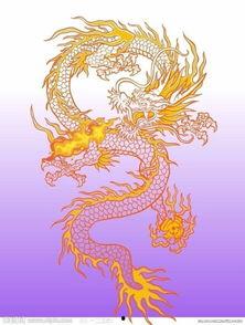 中国龙爪图片大全,探寻中国龙爪图片大全中的艺术魅力