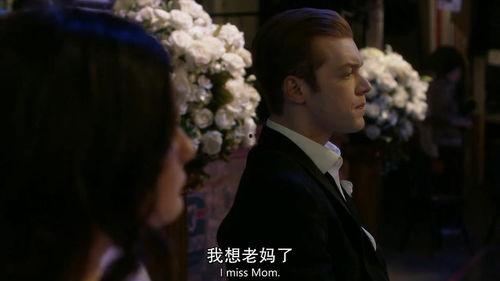 无耻之徒第一季在线观看,美国底层家庭的真实写照