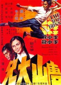 唐山大兄电影国语版,震撼人心的民族英雄传奇