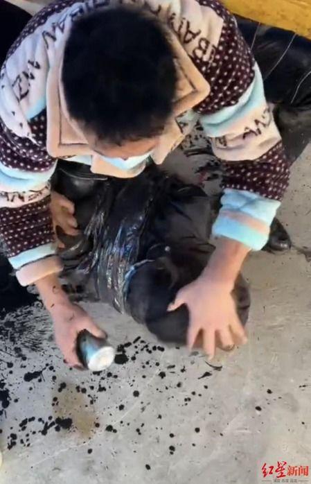 美女捆绑视频,揭秘美女视频背后的秘密