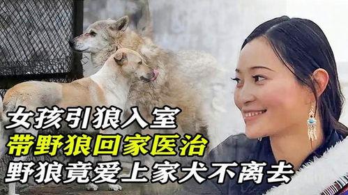 狼入室在线观看,惊悚悬疑，揭秘神秘入侵者的真实面目