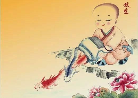 放生图片大全,图鉴自然和谐共生瞬间