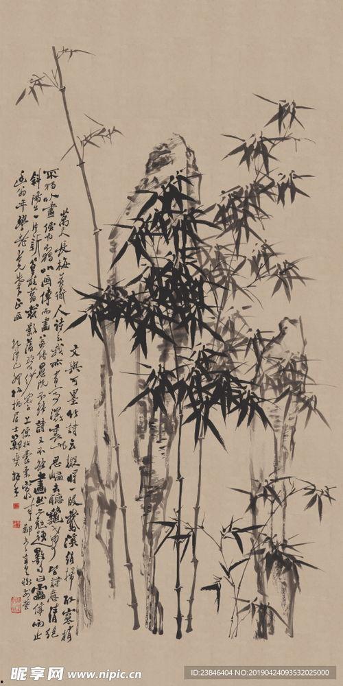 竹石图片,坚韧与生命的交响