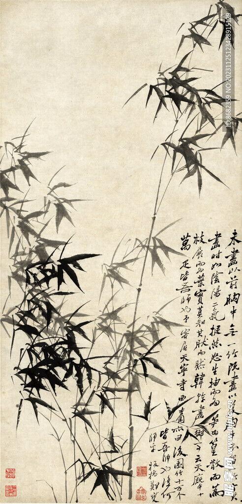 竹石图片,坚韧与生命的交响