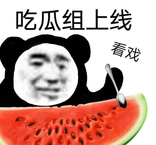 黑料吃瓜5g,5G时代下的吃瓜风云