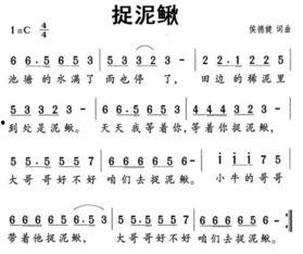 捉泥鳅视频,一场乡村童年的欢乐时光