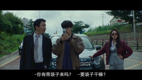 韩国动作犯罪电影,韩国动作犯罪电影巅峰对决