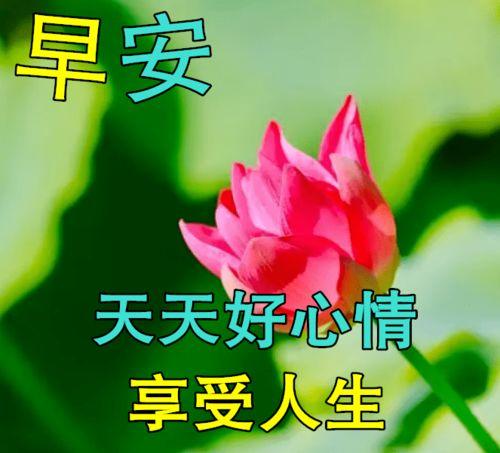 抱怨图片大全