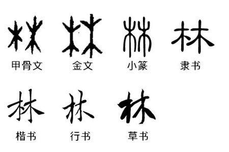 林字书法图片大全,林字书法艺术之美