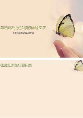 指尖蝶图片大全,捕捉自然精灵的瞬间