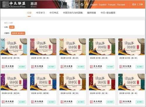 双语视频,跨文化交流的魅力与挑战