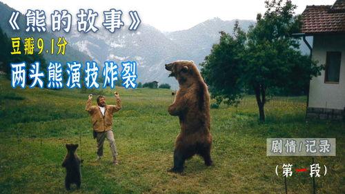 熊的故事在线观看,在线观看，探寻自然与生命的奥秘