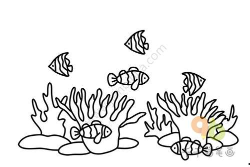 简笔画海底世界图片大全,简笔画描绘的神秘海洋世界