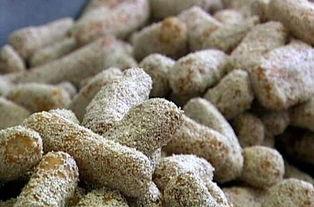 蓼花图片,自然之美与生命之韵