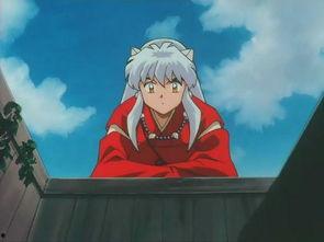 犬夜叉剧场版国语 下载,奇幻冒险再启程