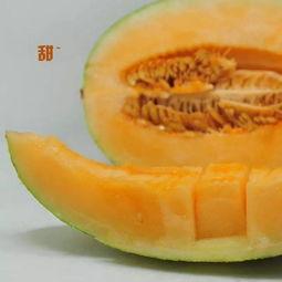 吃黑蜜瓜好吗,黑蜜瓜的营养价值与食用益处解析