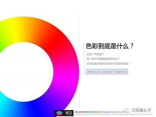 认颜色视频,视频中的色彩世界解析