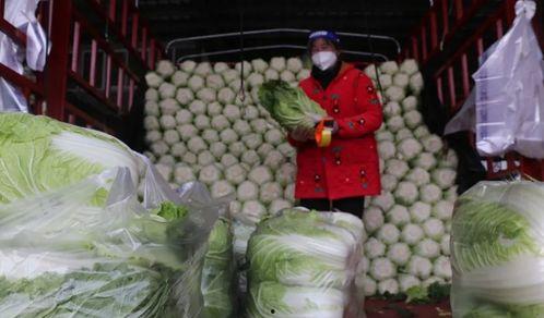 万邦市场今日哈密瓜行情,哈密瓜行情火热，价格走势分析