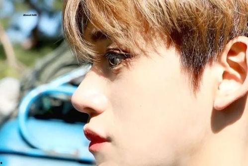 在韩国组合的中国人,韩国组合中的中国成员风采