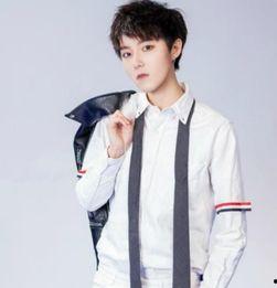 在韩国组合的中国人,韩国组合中的中国成员风采