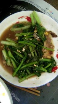 菜心图片大全,缤纷色彩，品味田园风情