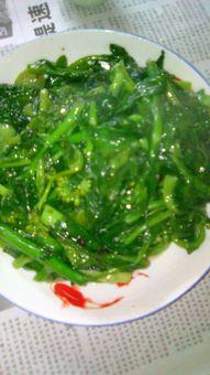 菜心图片大全,缤纷色彩，品味田园风情