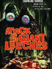 致命水蛭在线观看,惊悚揭秘，生死边缘的生存挑战