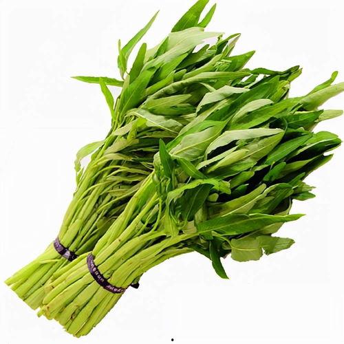 把蒿图片,自然界的绿色精灵