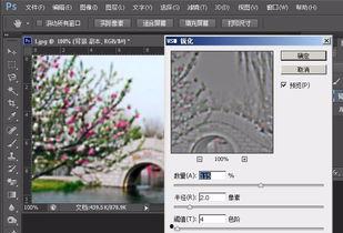 图片模糊处理,探索图片模糊处理的奥秘