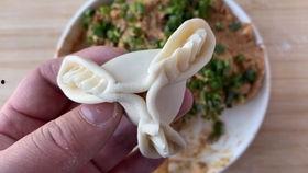 水饺包法视频,视频教程带你轻松入门