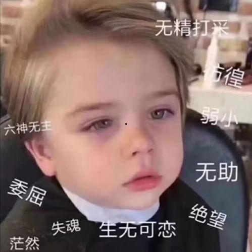 傻大姐吃瓜爆料图片表情包,趣味横生，笑料百出