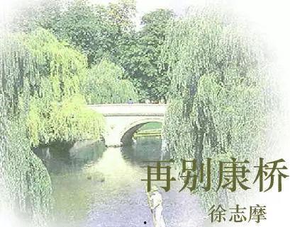 再别康桥视频,诗意告别与青春回忆的交织