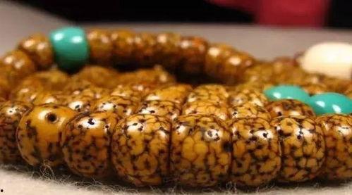 藏羚羊角包浆后图片,岁月沉淀下的自然瑰宝