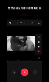 视频滤镜app,视频编辑新潮流，瞬间变身电影大片