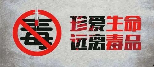 禁毒小视频,揭示毒品危害，守护美好人生