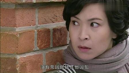 兰花劫在线观看,在线揭秘神秘兰花背后的惊世之谜