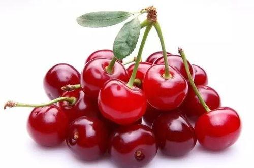 樱桃日本,探寻日本樱桃产业的魅力与特色