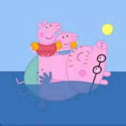 小猪表情图片大全可爱