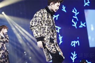 exo 韩国演唱会,璀璨星光下的视听盛宴