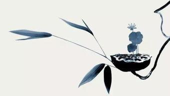 静心图片,探寻内心宁静的视觉之旅