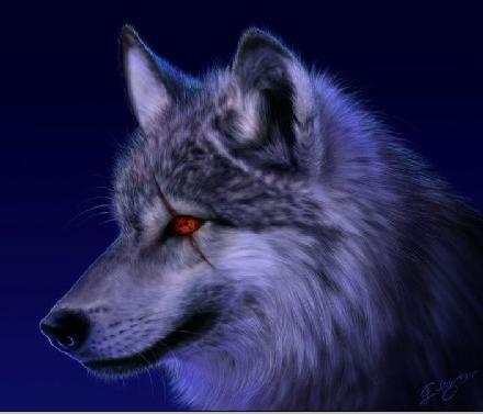 凶的图片,揭秘神秘凶案背后的惊悚真相