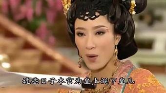 宫心计国语视频,宫廷权谋与爱恨情仇的纠葛