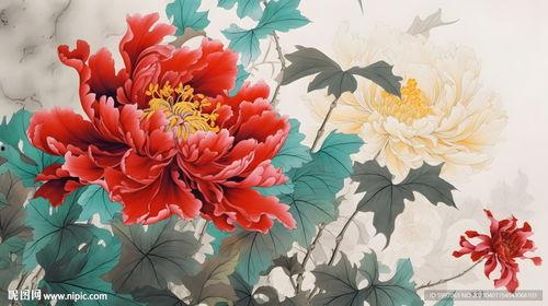 牡丹画图片,牡丹画卷中的国色天香